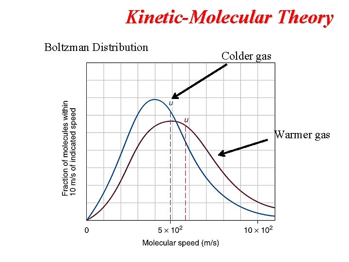 Kinetic-Molecular Theory Boltzman Distribution Colder gas Warmer gas 
