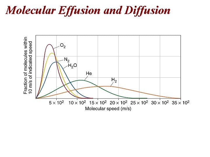 Molecular Effusion and Diffusion 