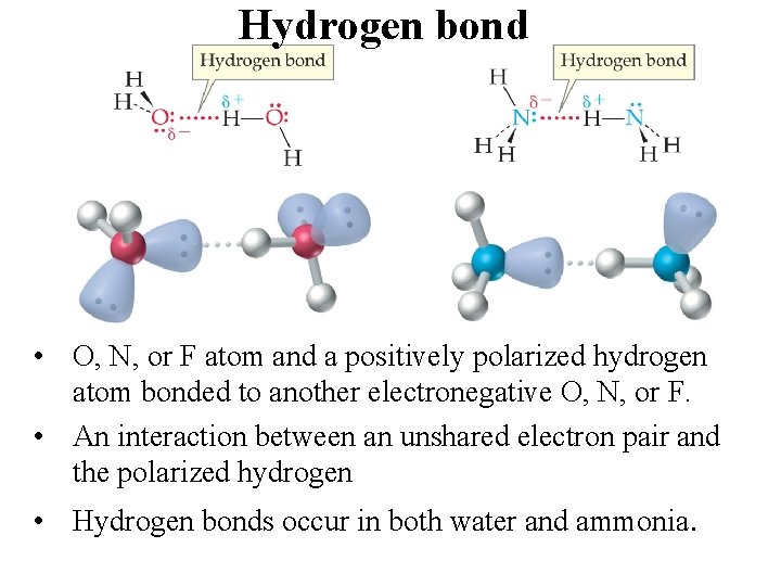 Hydrogen bond • O, N, or F atom and a positively polarized hydrogen atom