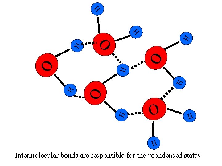 O O H H H H O O O H H Intermolecular bonds are