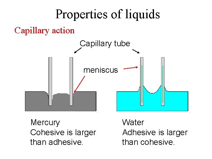 Properties of liquids Capillary action Capillary tube meniscus Mercury Cohesive is larger than adhesive.