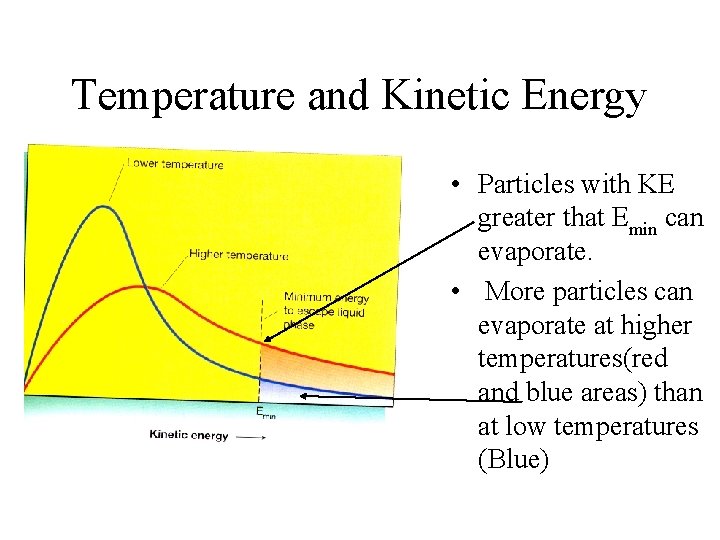 Temperature and Kinetic Energy • Particles with KE greater that Emin can evaporate. •