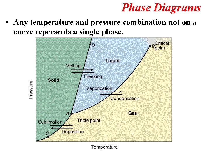 Phase Diagrams • Any temperature and pressure combination not on a curve represents a