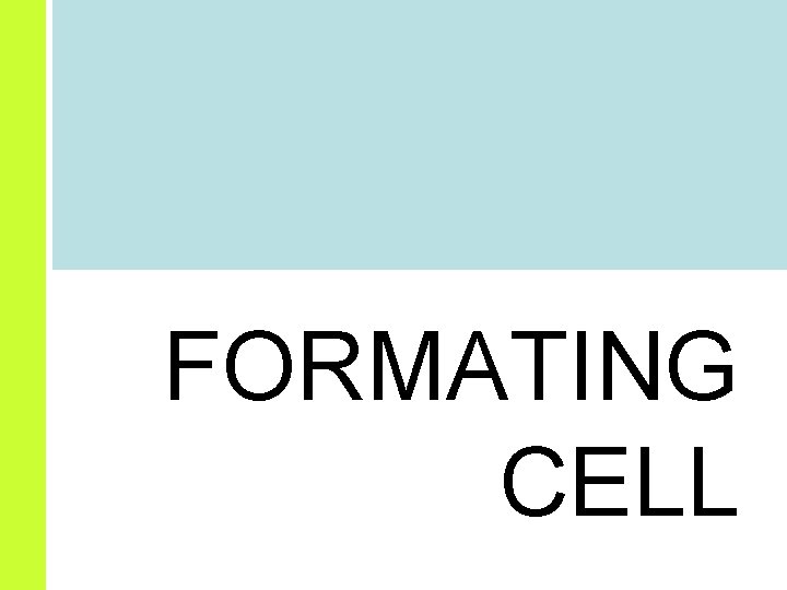 FORMATING CELL 