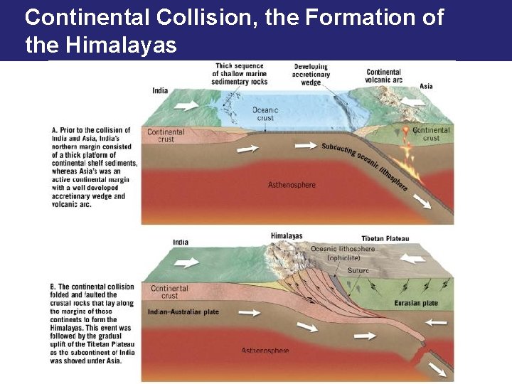 Continental Collision, the Formation of the Himalayas 