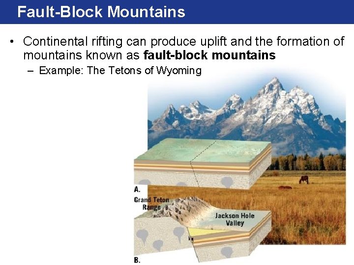 Fault-Block Mountains • Continental rifting can produce uplift and the formation of mountains known
