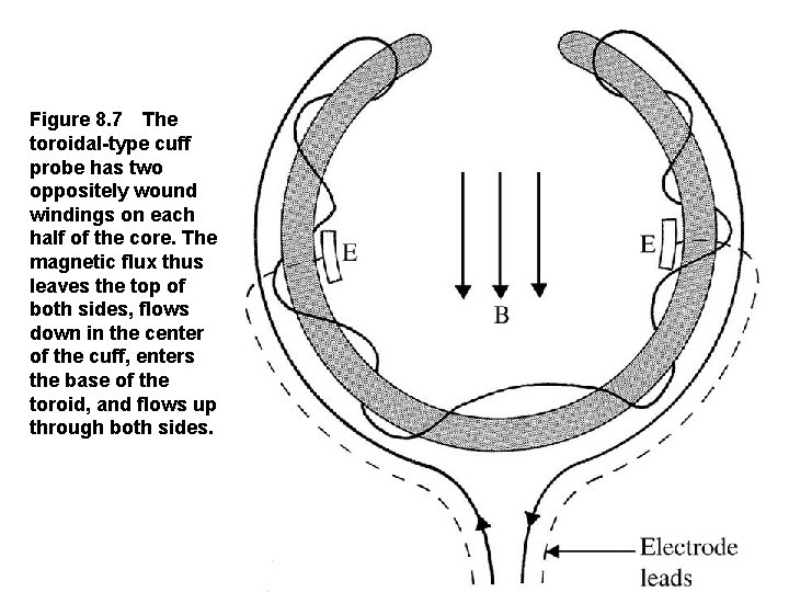 Figure 8. 7 The toroidal type cuff probe has two oppositely wound windings on