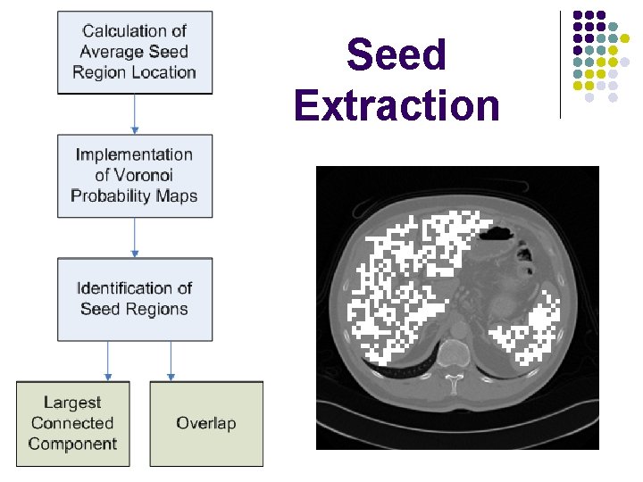 Seed Extraction 