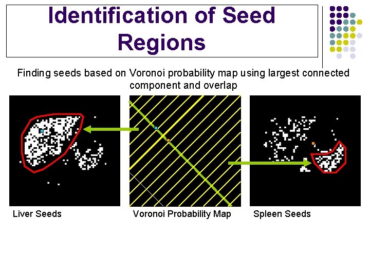 Identification of Seed Regions Finding seeds based on Voronoi probability map using largest connected