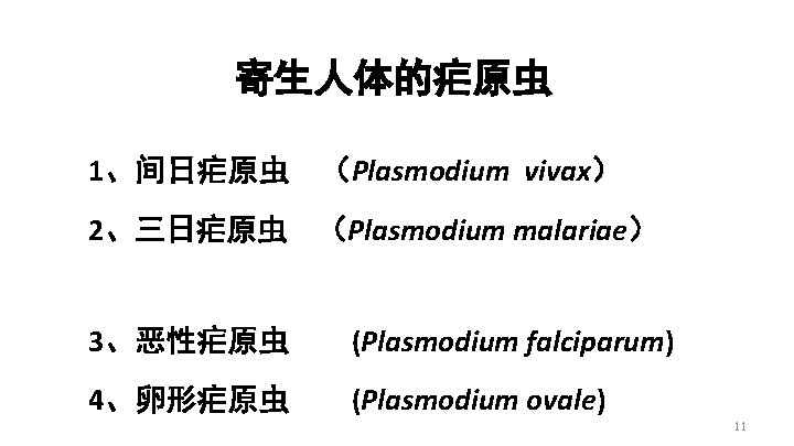 寄生人体的疟原虫 1、间日疟原虫 （Plasmodium vivax） 2、三日疟原虫 （Plasmodium malariae） 3、恶性疟原虫 (Plasmodium falciparum) 4、卵形疟原虫 (Plasmodium ovale) 11