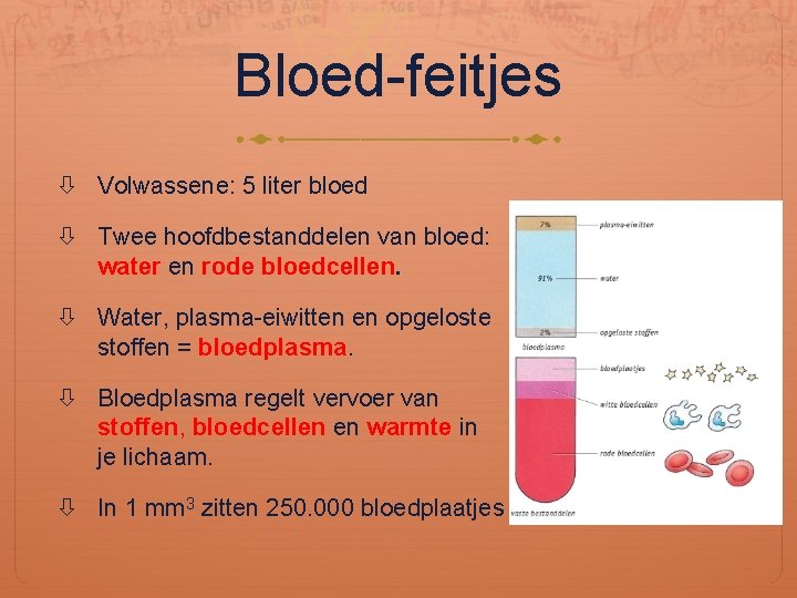 Bloed-feitjes Volwassene: 5 liter bloed Twee hoofdbestanddelen van bloed: water en rode bloedcellen. Water,