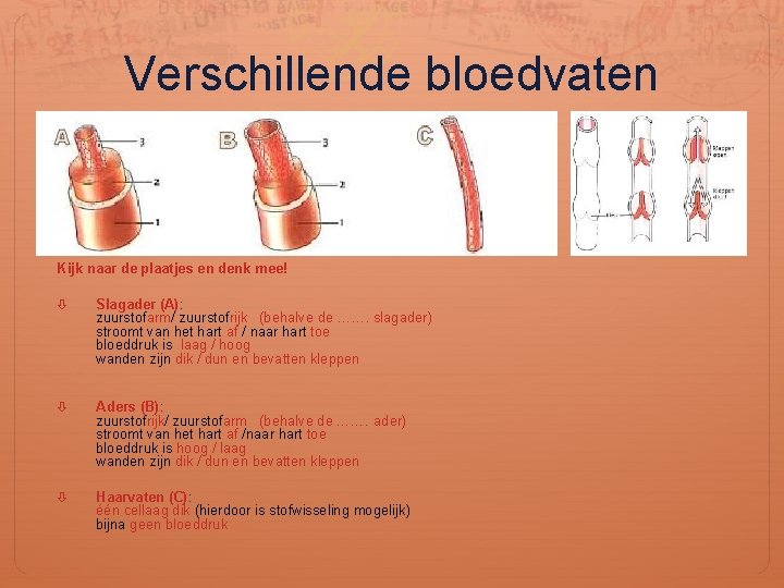 Verschillende bloedvaten Kijk naar de plaatjes en denk mee! Slagader (A): zuurstofarm/ zuurstofrijk (behalve