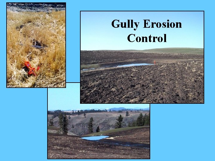 Gully Erosion Control 