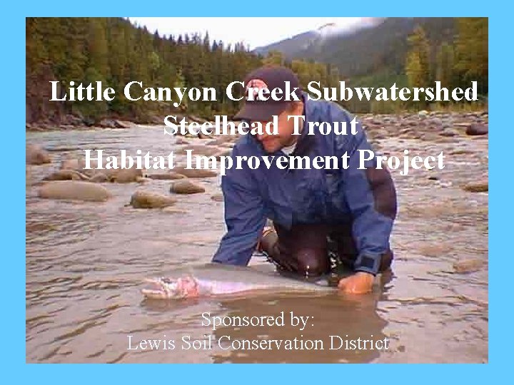 Little Canyon Creek Subwatershed Steelhead Trout Habitat Improvement Project Sponsored by: Lewis Soil Conservation