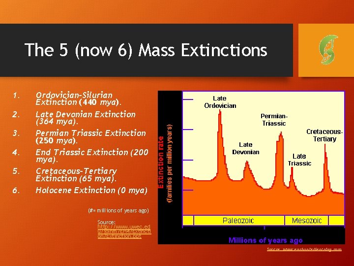 The 5 (now 6) Mass Extinctions 1. 2. 3. 4. 5. 6. Ordovician-Silurian Extinction