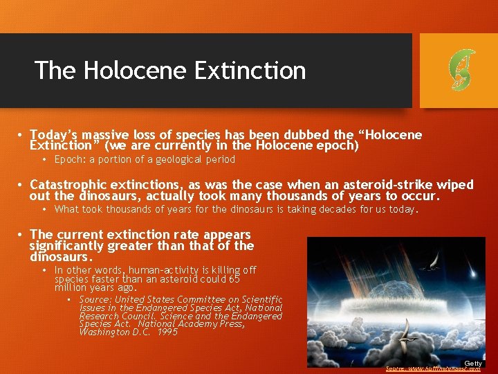 The Holocene Extinction • Today’s massive loss of species has been dubbed the “Holocene