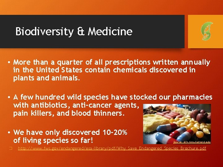 Biodiversity & Medicine • More than a quarter of all prescriptions written annually in