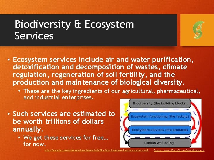 Biodiversity & Ecosystem Services • Ecosystem services include air and water purification, detoxification and