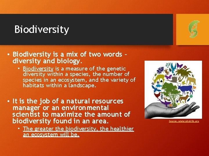 Biodiversity • Biodiversity is a mix of two words – diversity and biology. •