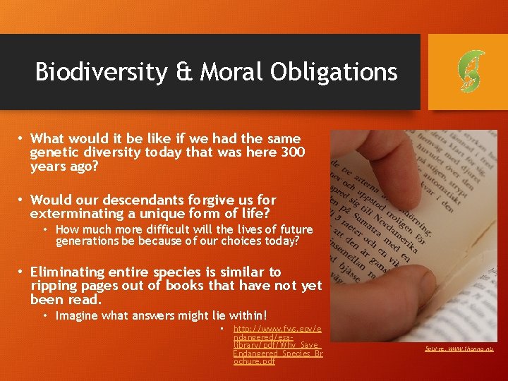 Biodiversity & Moral Obligations • What would it be like if we had the