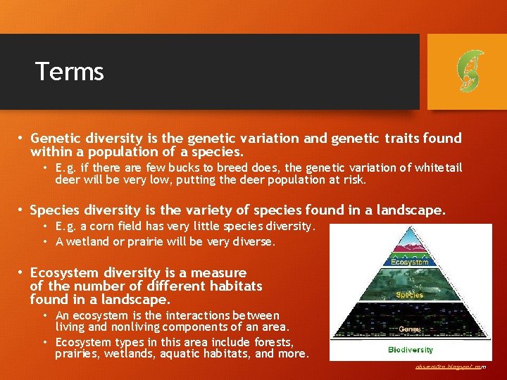 Terms • Genetic diversity is the genetic variation and genetic traits found within a