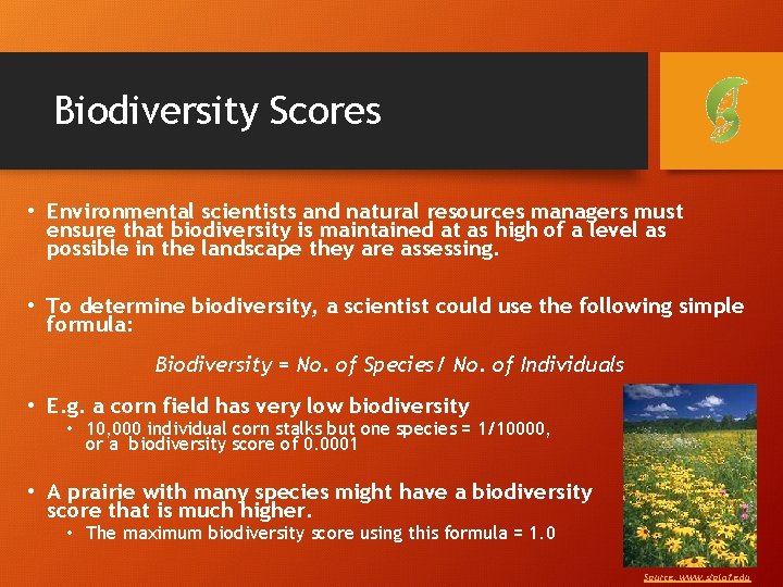 Biodiversity Scores • Environmental scientists and natural resources managers must ensure that biodiversity is