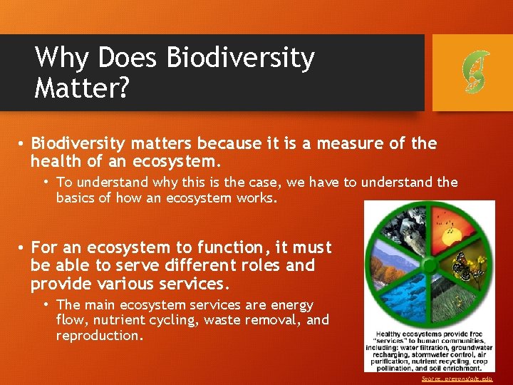 Why Does Biodiversity Matter? • Biodiversity matters because it is a measure of the