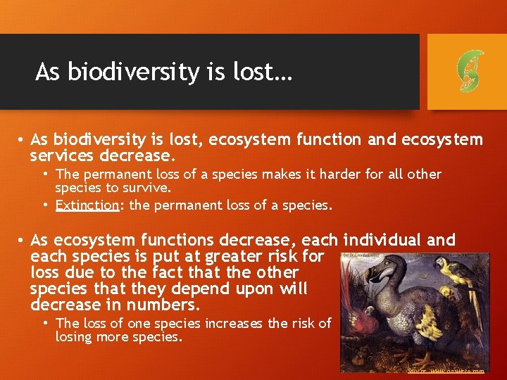 As biodiversity is lost… • As biodiversity is lost, ecosystem function and ecosystem services