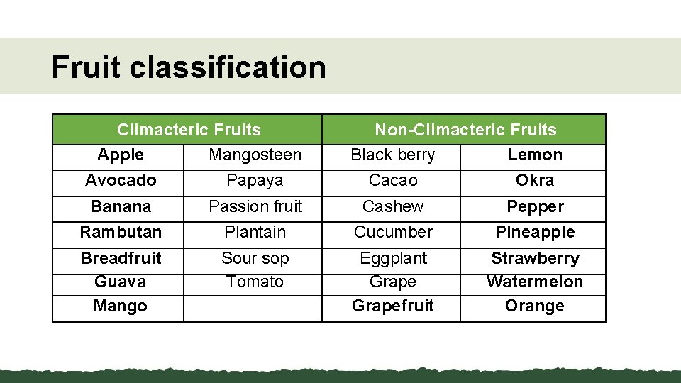 Fruit classification Climacteric Fruits Apple Mangosteen Non-Climacteric Fruits Black berry Lemon Avocado Papaya Cacao