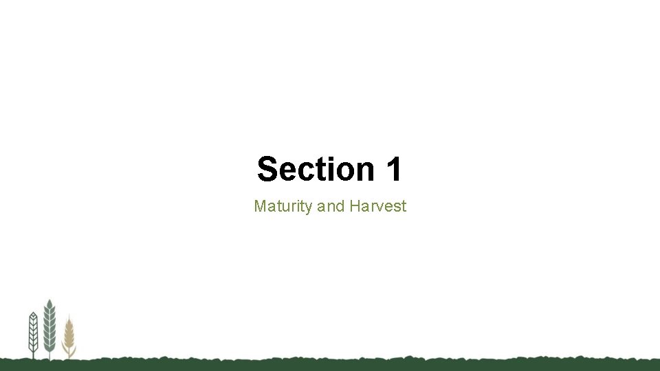 Section 1 Maturity and Harvest 