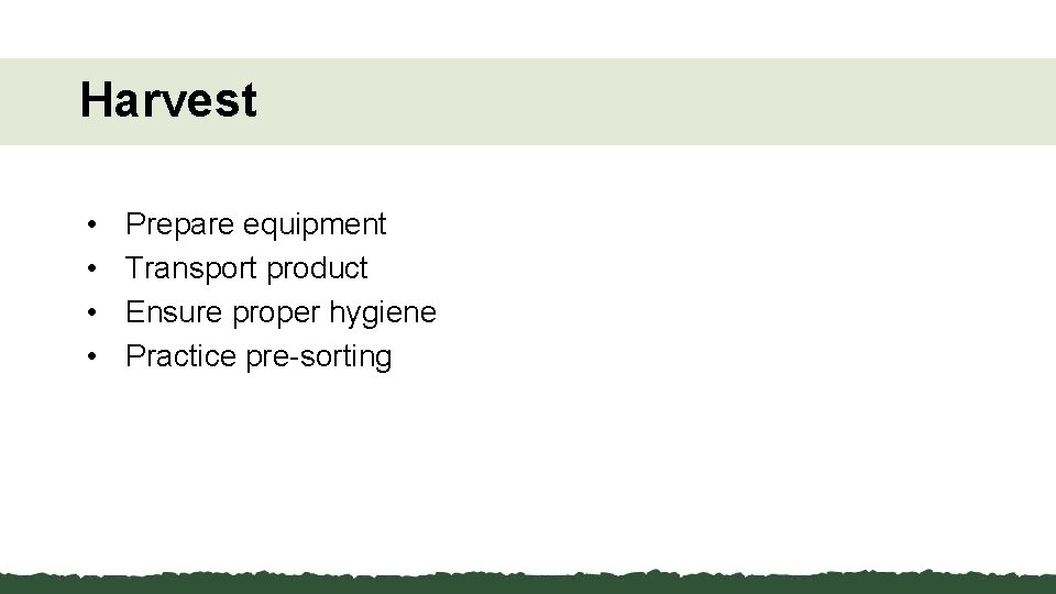 Harvest • • Prepare equipment Transport product Ensure proper hygiene Practice pre-sorting 