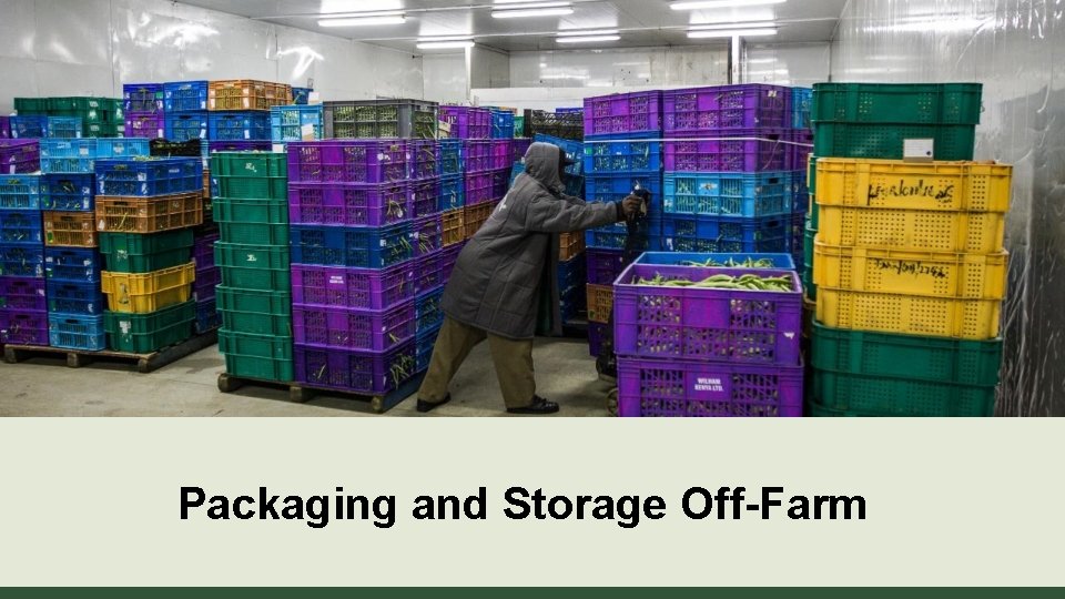 Packaging and Storage Off-Farm 