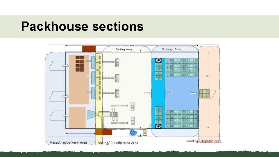 Packhouse sections 