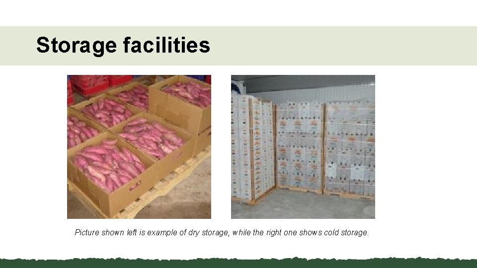 Storage facilities Picture shown left is example of dry storage, while the right one