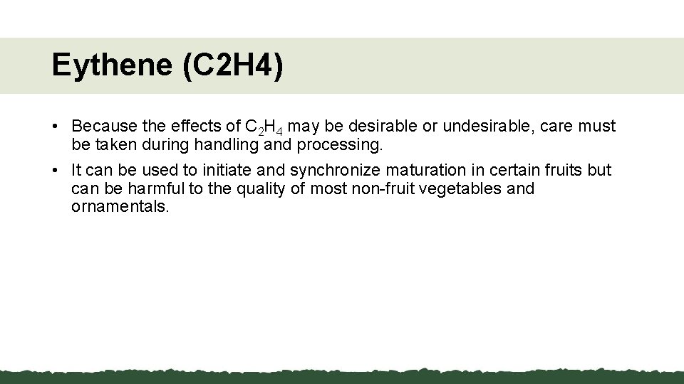 Eythene (C 2 H 4) • Because the effects of C 2 H 4