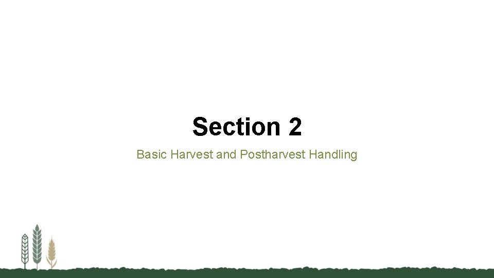 Section 2 Basic Harvest and Postharvest Handling 