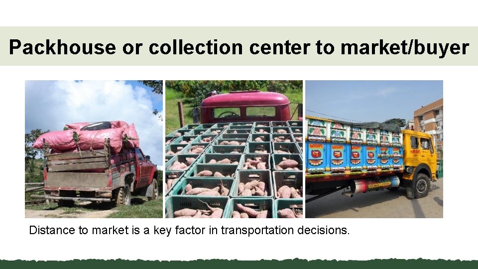 Packhouse or collection center to market/buyer Distance to market is a key factor in