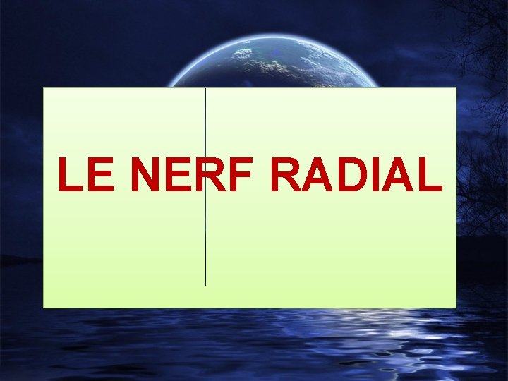 LE NERF RADIAL 