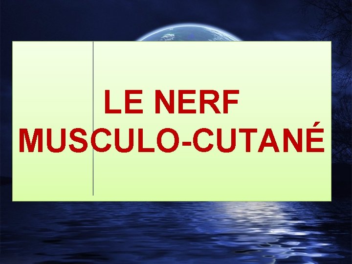 LE NERF MUSCULO-CUTANÉ 