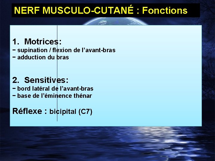 NERF MUSCULO-CUTANÉ : Fonctions 1. Motrices: − supination / flexion de l’avant-bras − adduction