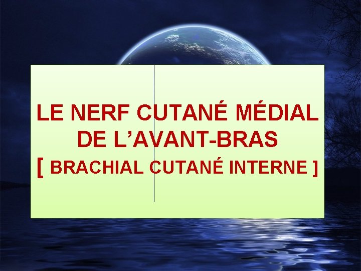 LE NERF CUTANÉ MÉDIAL DE L’AVANT-BRAS [ BRACHIAL CUTANÉ INTERNE ] 