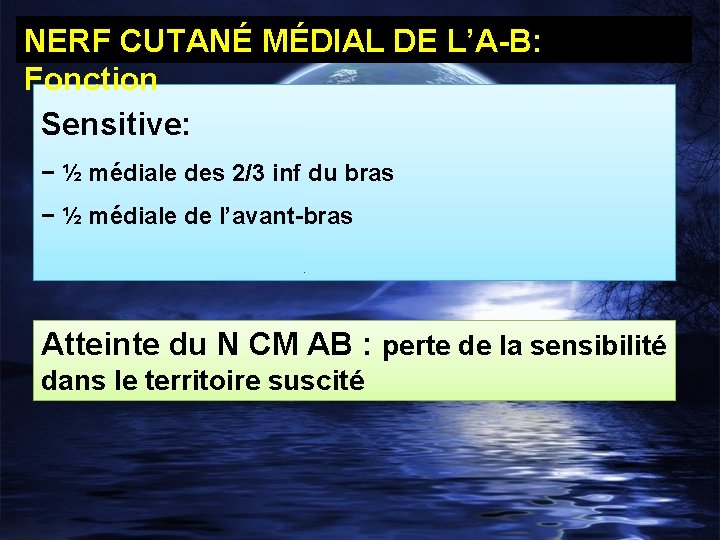 NERF CUTANÉ MÉDIAL DE L’A-B: Fonction Sensitive: − ½ médiale des 2/3 inf du