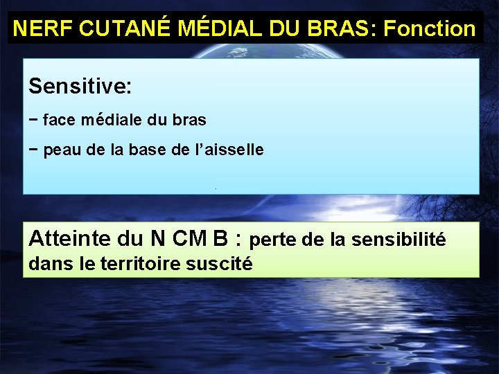 NERF CUTANÉ MÉDIAL DU BRAS: Fonction Sensitive: − face médiale du bras − peau