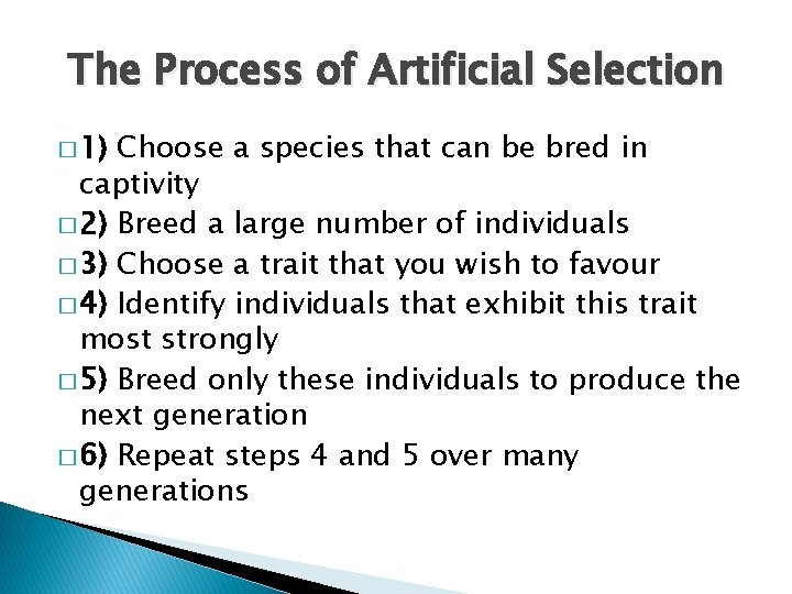 The Process of Artificial Selection � 1) Choose a species that can be bred