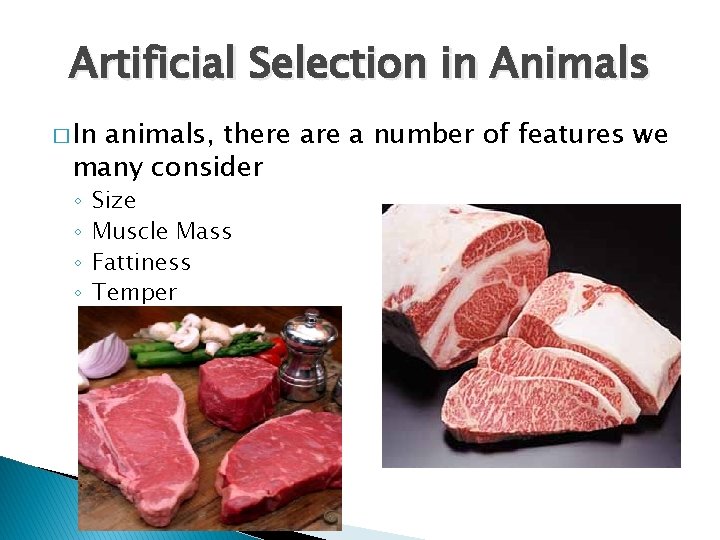 Artificial Selection in Animals � In animals, there a number of features we many