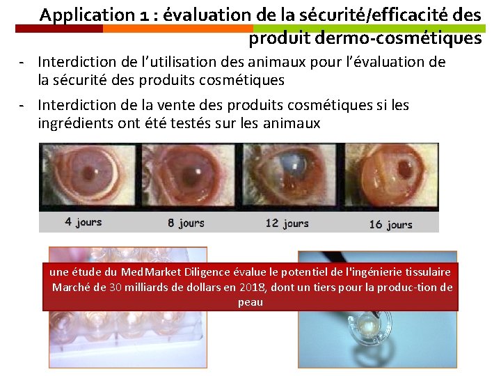 Application 1 : évaluation de la sécurité/efficacité des produit dermo-cosmétiques Interdiction de l’utilisation des