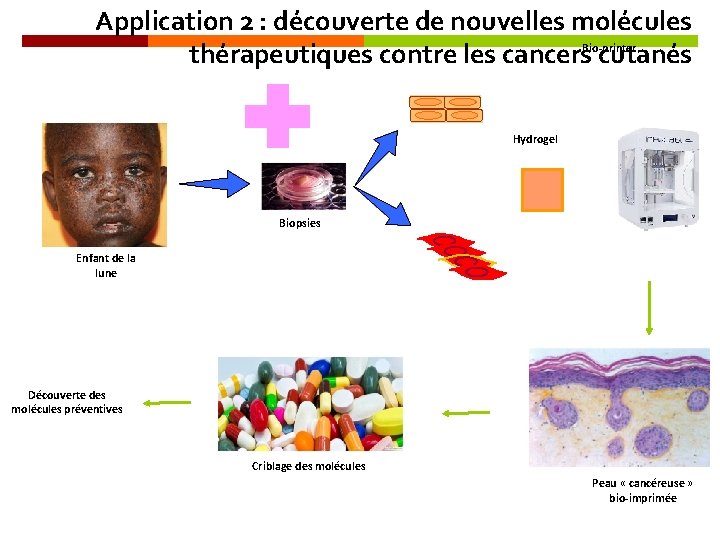 Application 2 : découverte de nouvelles molécules thérapeutiques contre les cancers. Bio-printer cutanés Hydrogel