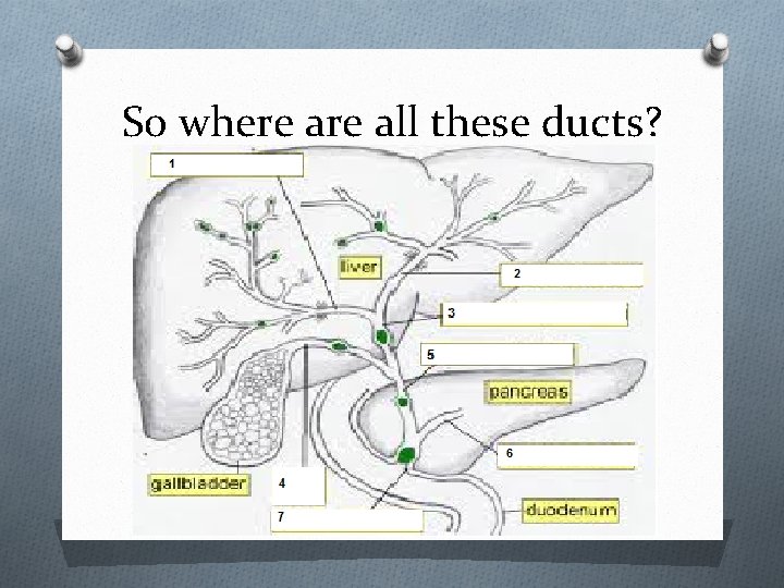 So where all these ducts? 