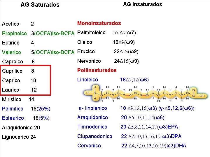 AG Insaturados AG Saturados Acetico 2 Monoinsaturados Propinoico 3(OCFA)iso-BCFA Palmitoleico Oleico 16 D 9(ω7)