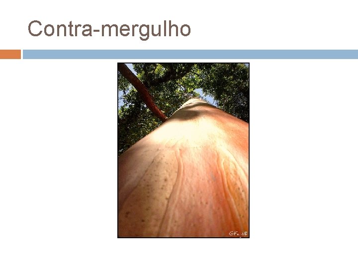 Contra-mergulho 